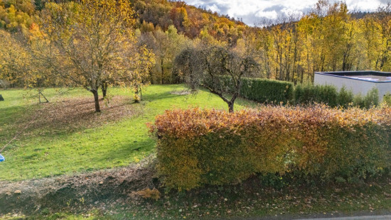 Rue du Vieux Chêne - 1 - a - 6687