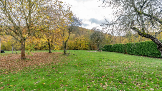 Rue du Vieux Chêne - 1 - a - 6687