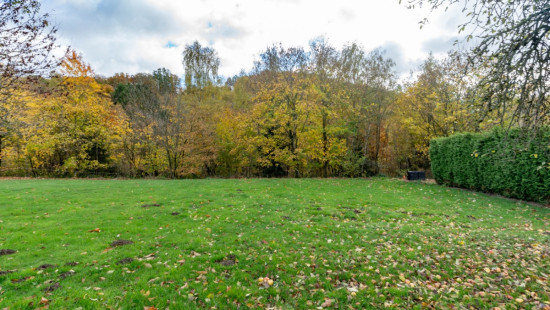 Rue du Vieux Chêne - 1 - a - 6687