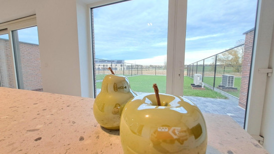 Pieter Breughelstraat - 9 - - 8550