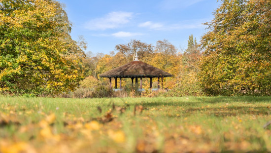 Wouter Haecklaan - 7 - bus 602 - 2100