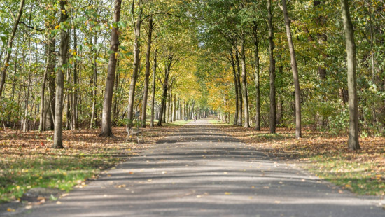 Wouter Haecklaan - 7 - bus 602 - 2100