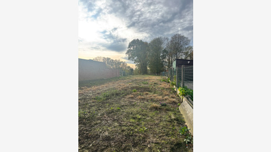 Steenstraat - 19 - - 8851