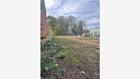 Steenstraat - 19 - - 8851