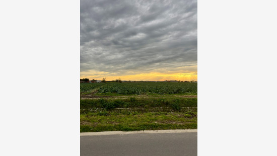 Galgestraat - 21 - - 8920