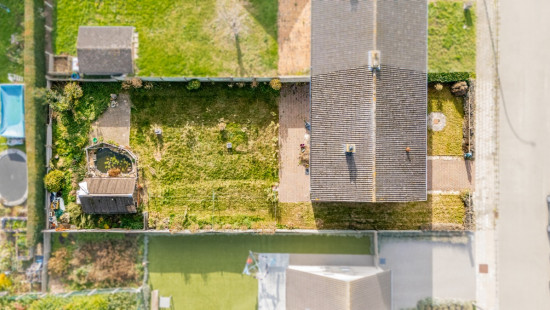 Beukenhof - 19 - - 9980