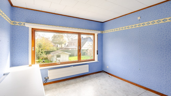 Beukenhof - 19 - - 9980