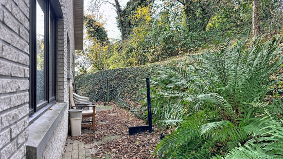 Rue Roua - 95 - - 4540