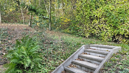 Rue Roua - 95 - - 4540