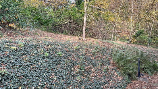 Rue Roua - 95 - - 4540