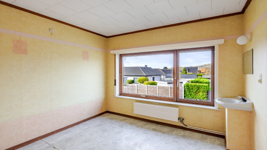 Beukenhof - 19 - - 9980