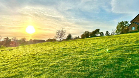 Rue Potay - 20 - - 4470