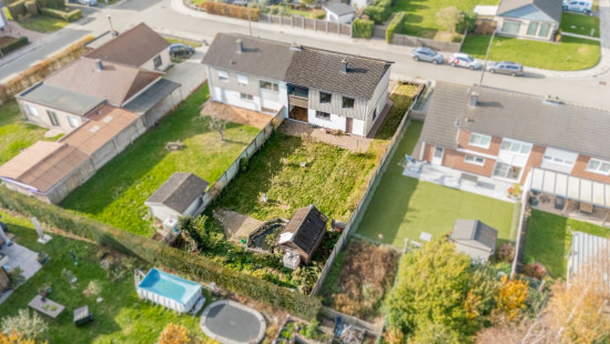 Beukenhof - 19 - - 9980