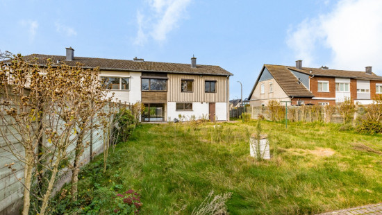 Beukenhof - 19 - - 9980