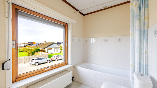 Beukenhof - 19 - - 9980