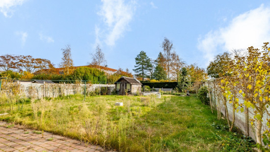 Beukenhof - 19 - - 9980