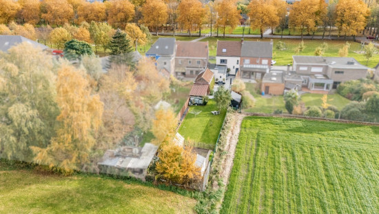 Doornzele Dries - 49 - - 9940