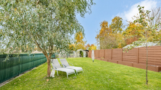 Doornzele Dries - 49 - - 9940