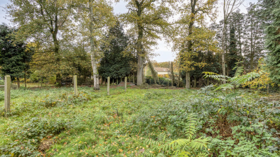 Binnenvaartstraat - 16 - - 3530