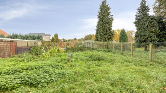 Binnenvaartstraat - 16 - - 3530