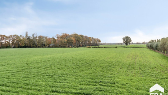 Weststraat - 18C - - 8340