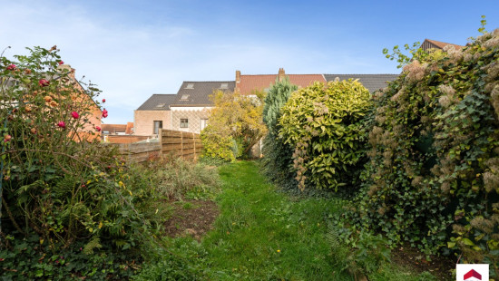 Marktplein - 11 - - 1703