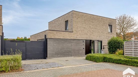 Dodeven - 14 - - 3920