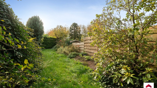 Marktplein - 11 - - 1703