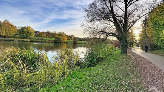 Champ Vallée - 19 - C4 - 1348