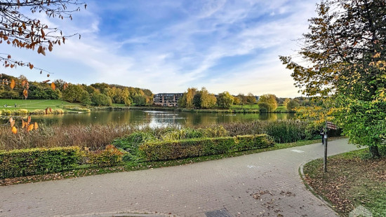 Champ Vallée - 19 - C4 - 1348