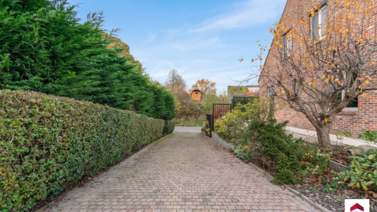 Geraardsbergsestraat - 163A - - 1703