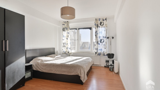 Avenue de la Basilique - 363 - - 1081