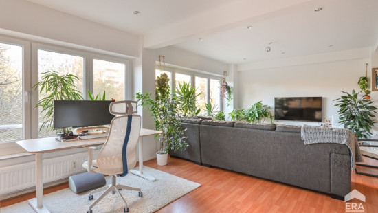 Avenue de la Basilique - 363 - - 1081