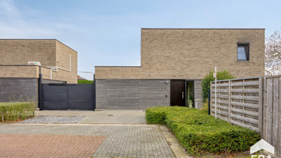 Dodeven - 14 - - 3920