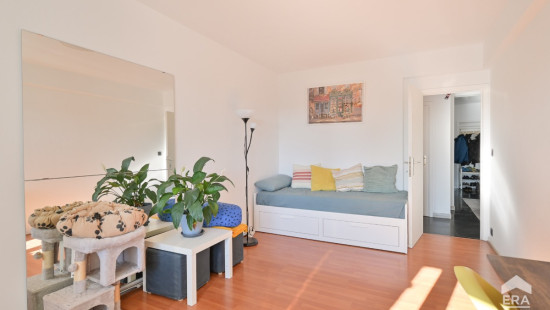 Avenue de la Basilique - 363 - - 1081