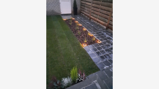 Wilgestraat - 19 - - 8940