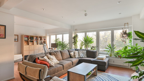 Avenue de la Basilique - 363 - - 1081