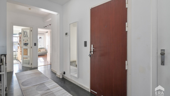 Avenue de la Basilique - 363 - - 1081