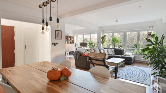 Avenue de la Basilique - 363 - - 1081