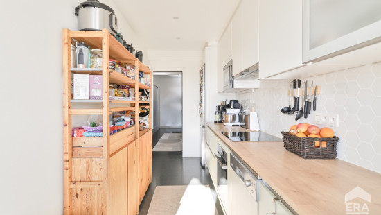 Avenue de la Basilique - 363 - - 1081