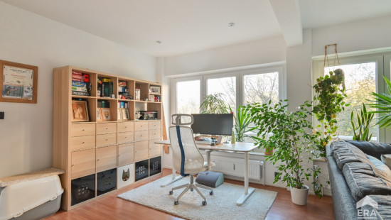 Avenue de la Basilique - 363 - - 1081