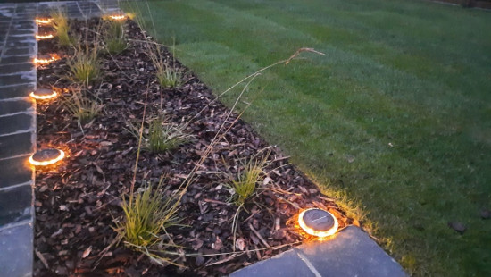 Wilgestraat - 19 - - 8940