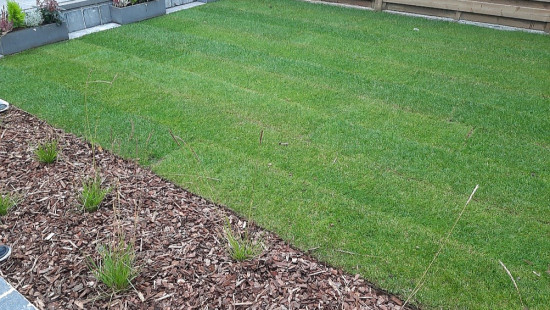 Wilgestraat - 19 - - 8940