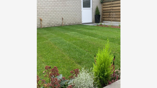 Wilgestraat - 19 - - 8940