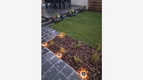 Wilgestraat - 19 - - 8940