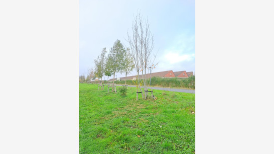 Leanderhof - 89 - - 8550