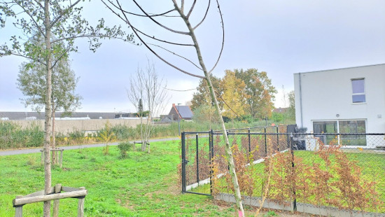 Leanderhof - 89 - - 8550