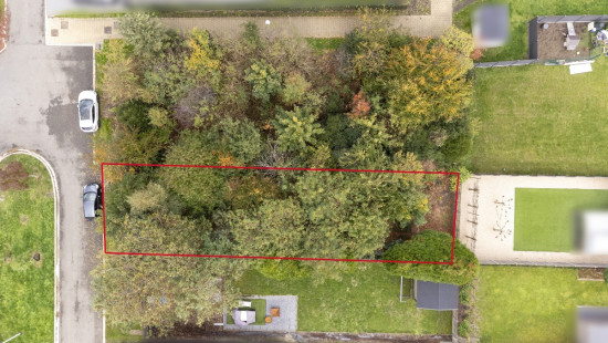 Beiaardgalm - ZN - - 3920