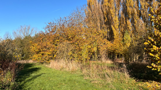 Rue Albert Quivy - 8 - - 7950