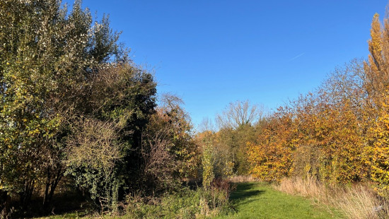 Rue Albert Quivy - 8 - - 7950